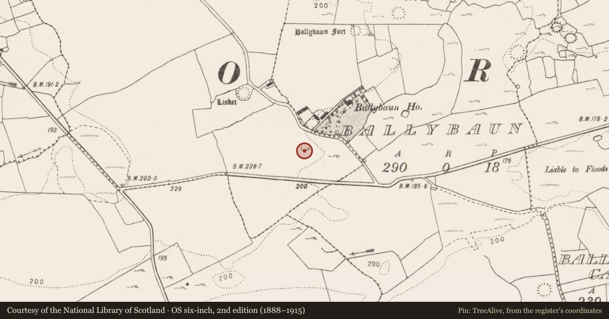 Ordnance Survey six-inch map, 2nd edition (1888–1915) covering the location of Enclosure, Lisket, County Clare, with a pin at the register's coordinates