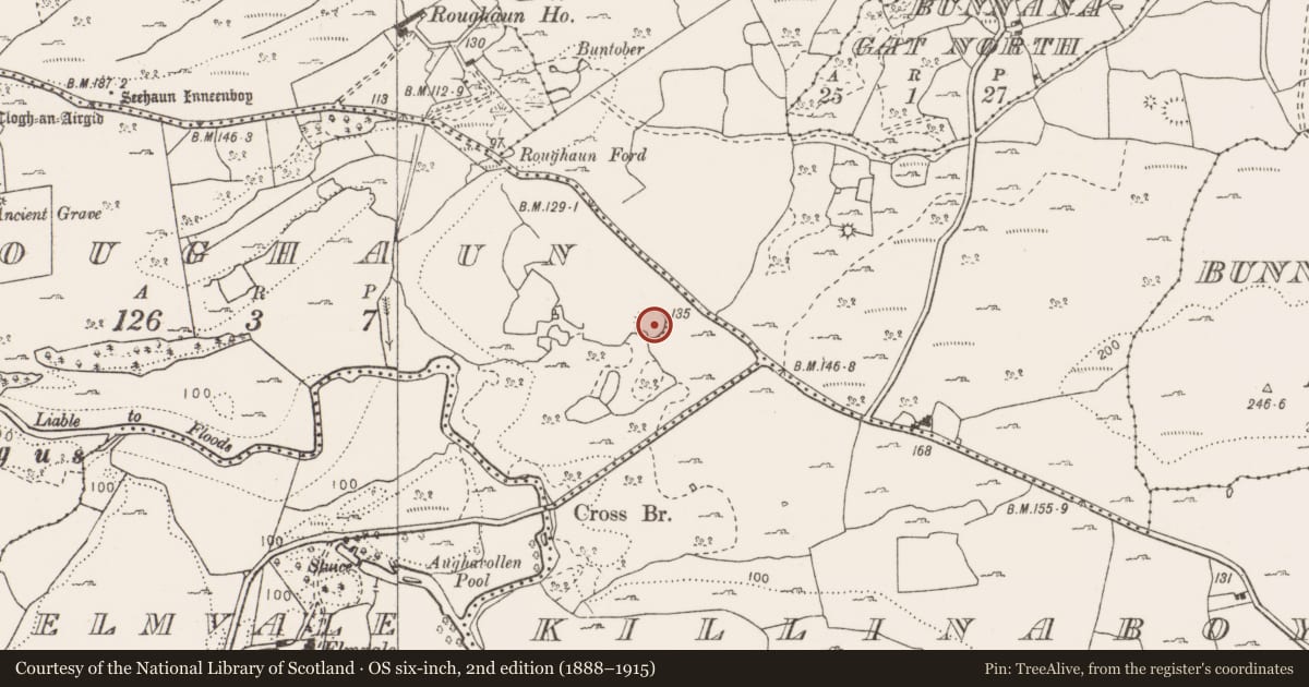 Ordnance Survey six-inch map, 2nd edition (1888–1915) covering the location of Ringfort - cashel, Roughaun, County Clare, with a pin at the register's coordinates