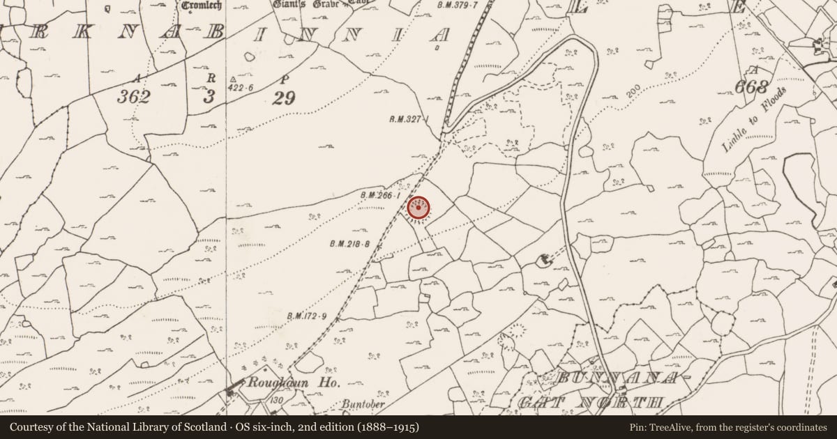 Ordnance Survey six-inch map, 2nd edition (1888–1915) covering the location of Ringfort - rath, Leana, County Clare, with a pin at the register's coordinates