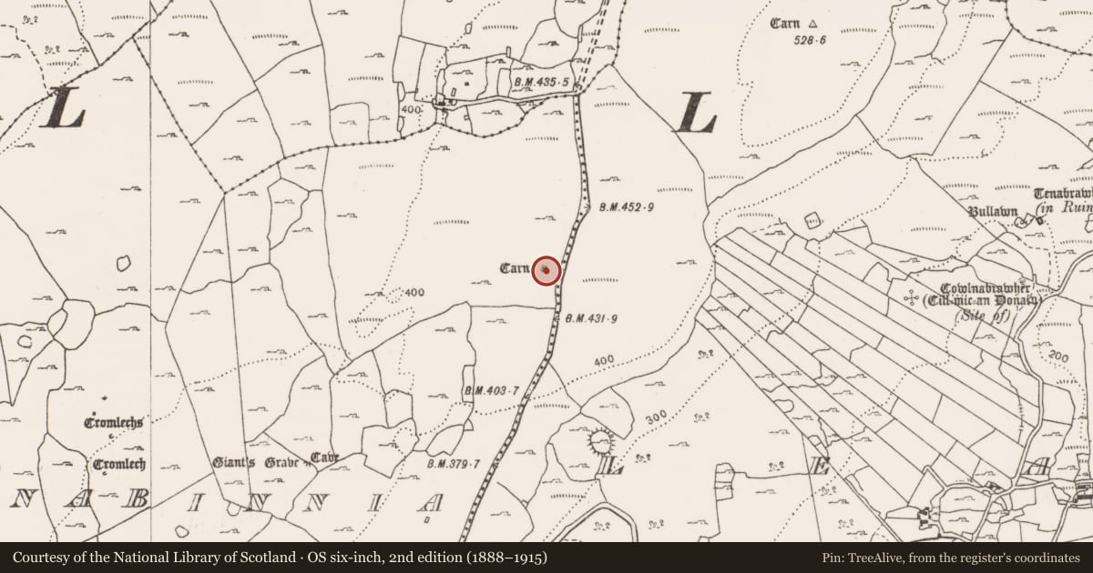 Ordnance Survey six-inch map, 2nd edition (1888–1915) covering the location of Megalithic tomb - wedge tomb, Parknabinnia, County Clare, with a pin at the register's coordinates