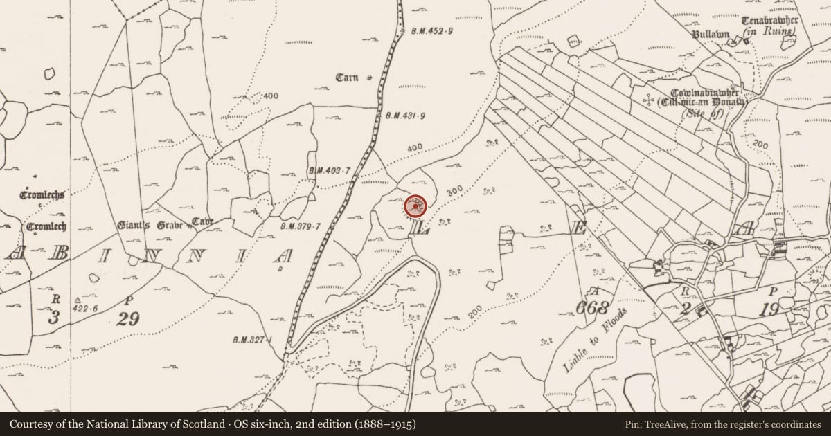 Ordnance Survey six-inch map, 2nd edition (1888–1915) covering the location of Ringfort - cashel, Leana, County Clare, with a pin at the register's coordinates