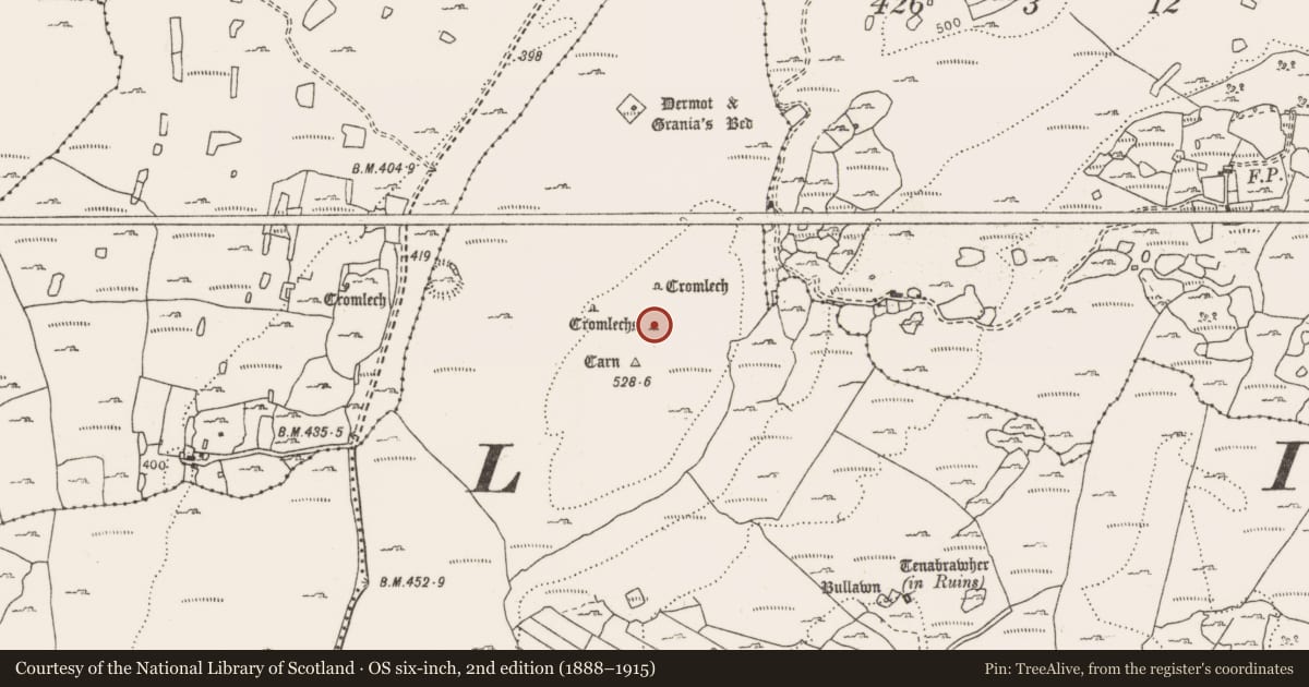 Ordnance Survey six-inch map, 2nd edition (1888–1915) covering the location of Megalithic structure, Leana, County Clare, with a pin at the register's coordinates