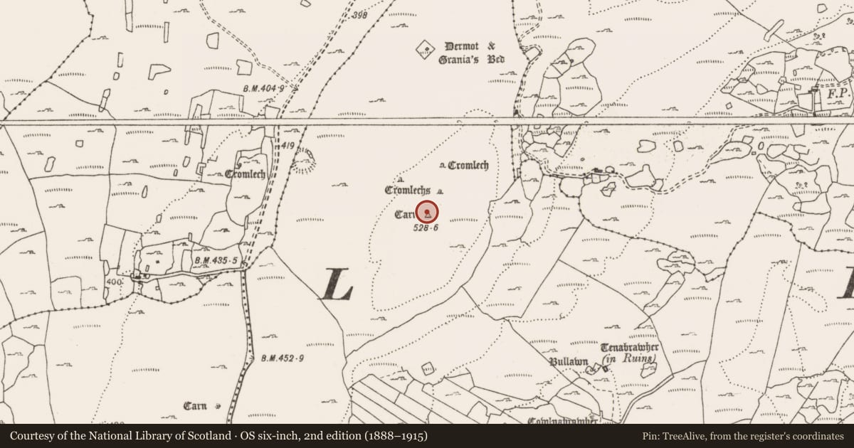 Ordnance Survey six-inch map, 2nd edition (1888–1915) covering the location of Cairn - unclassified, Leana, County Clare, with a pin at the register's coordinates