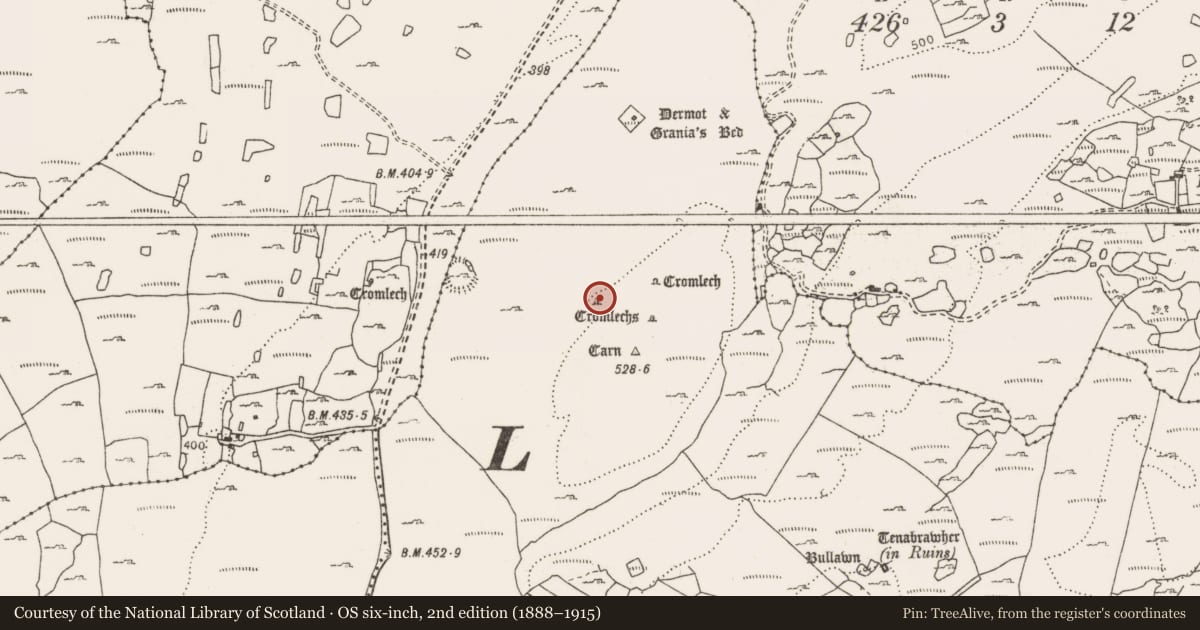 Ordnance Survey six-inch map, 2nd edition (1888–1915) covering the location of Megalithic tomb - wedge tomb, Leana, County Clare, with a pin at the register's coordinates