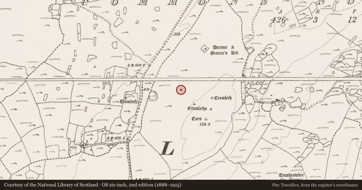 Ordnance Survey six-inch map, 2nd edition (1888–1915) covering the location of Megalithic tomb - wedge tomb, Leana, County Clare, with a pin at the register's coordinates