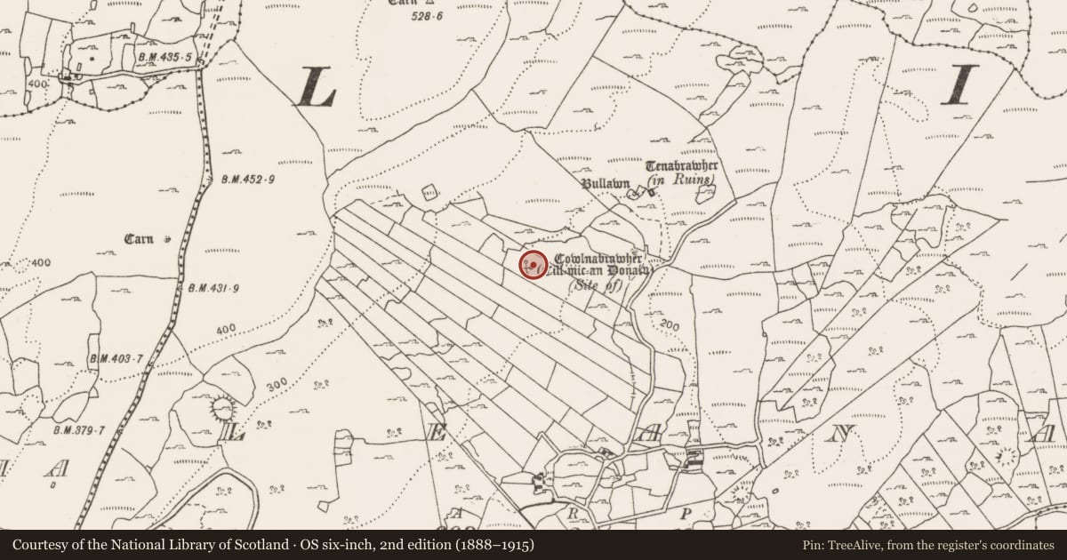 Ordnance Survey six-inch map, 2nd edition (1888–1915) covering the location of Church, Leana, County Clare, with a pin at the register's coordinates