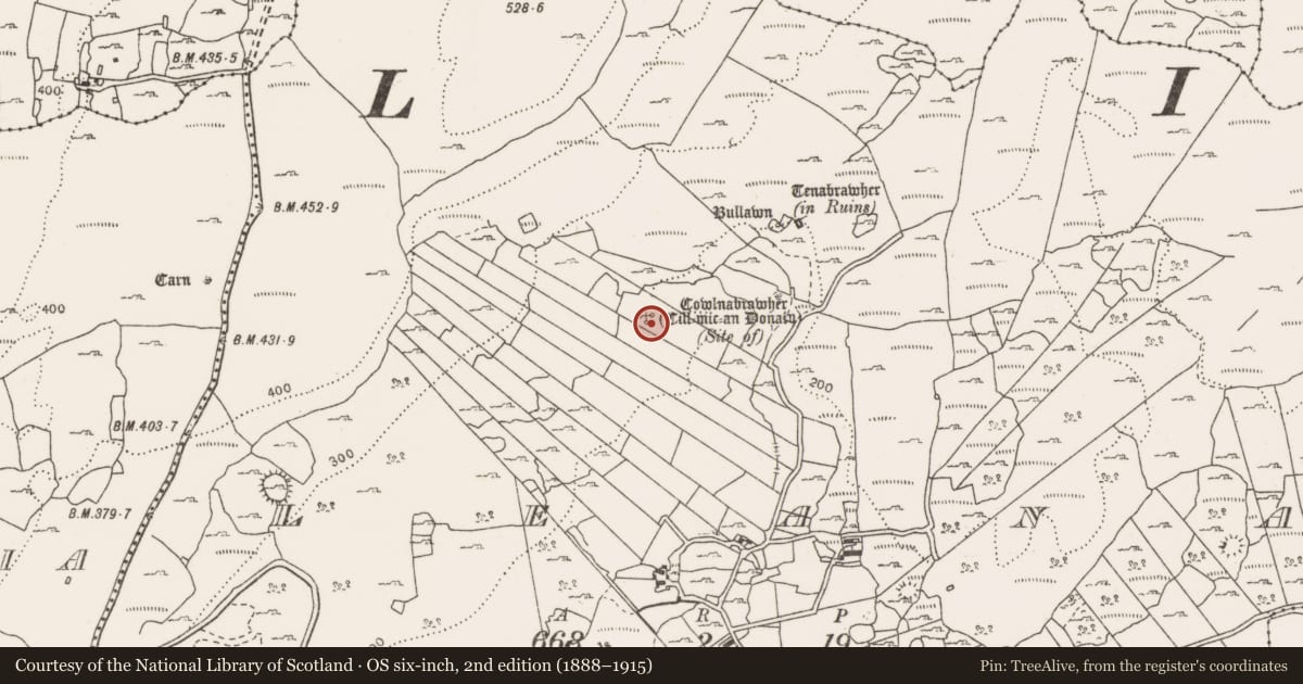 Ordnance Survey six-inch map, 2nd edition (1888–1915) covering the location of Architectural fragment, Leana, County Clare, with a pin at the register's coordinates