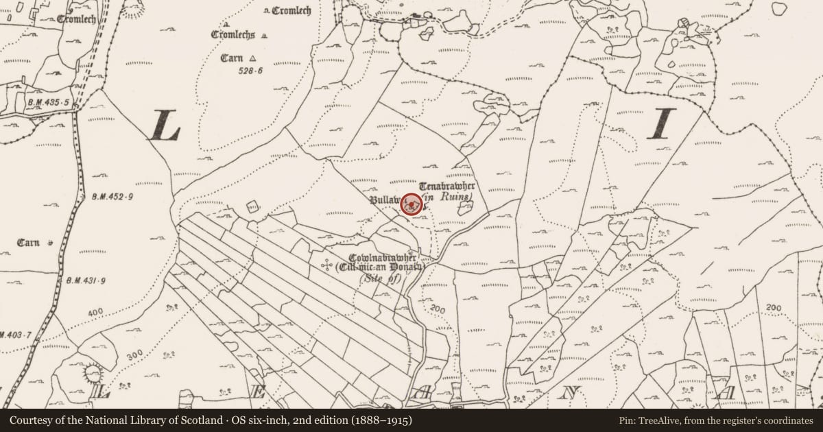 Ordnance Survey six-inch map, 2nd edition (1888–1915) covering the location of Bullaun stone, Leana, County Clare, with a pin at the register's coordinates