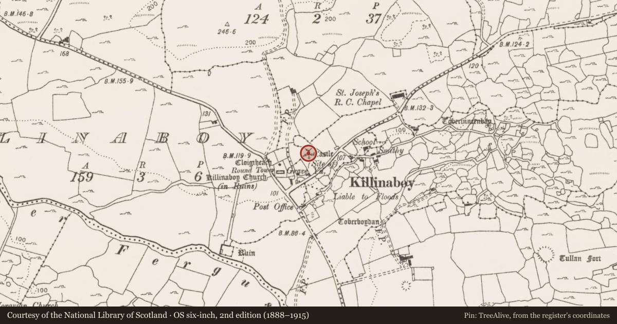 Ordnance Survey six-inch map, 2nd edition (1888–1915) covering the location of Castle - tower house, Killinaboy, County Clare, with a pin at the register's coordinates