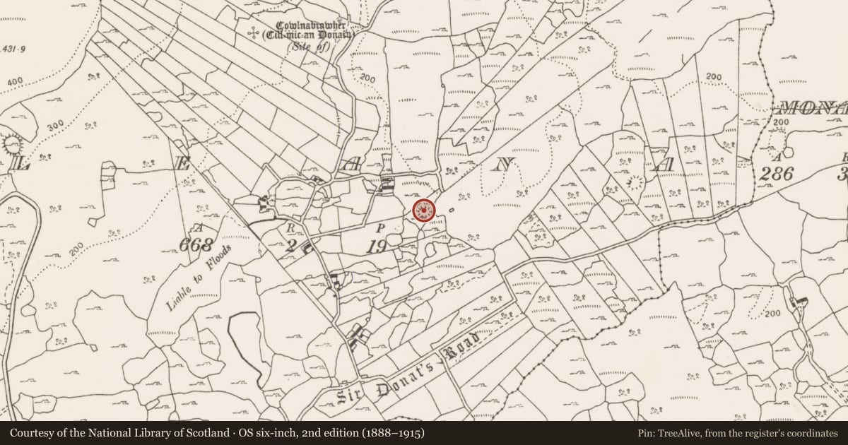 Ordnance Survey six-inch map, 2nd edition (1888–1915) covering the location of Ringfort - cashel, Leana, County Clare, with a pin at the register's coordinates