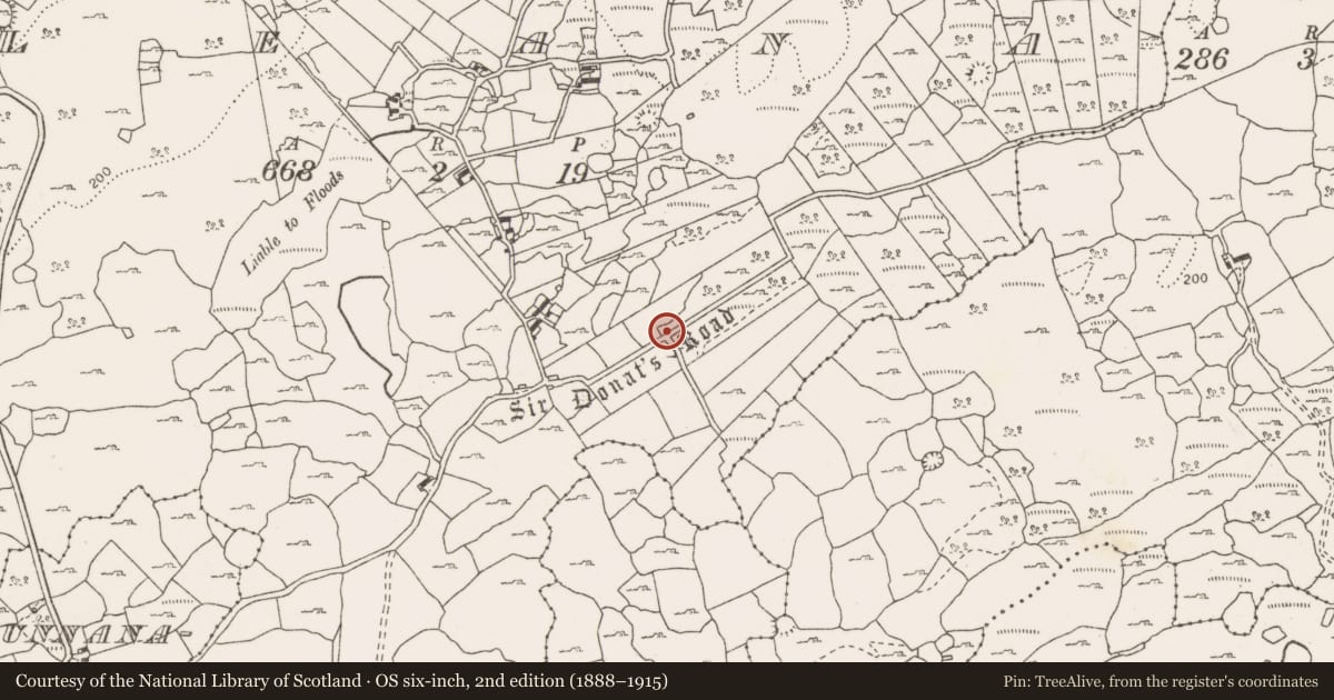 Ordnance Survey six-inch map, 2nd edition (1888–1915) covering the location of Road - road/trackway, County Clare, with a pin at the register's coordinates