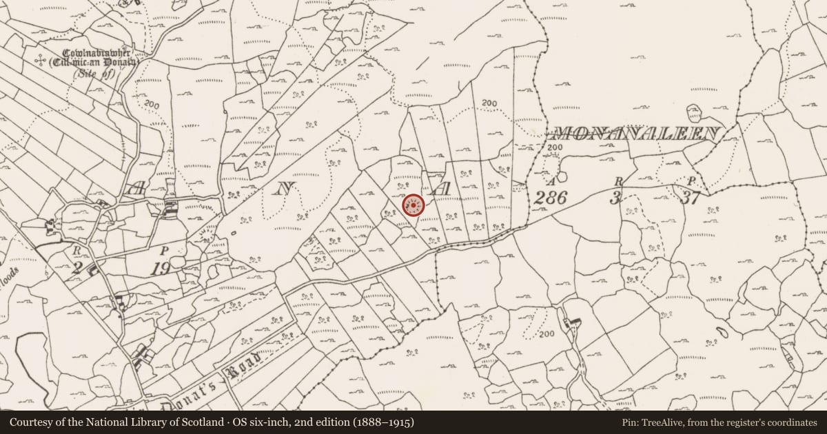 Ordnance Survey six-inch map, 2nd edition (1888–1915) covering the location of Ringfort - cashel, Leana, County Clare, with a pin at the register's coordinates