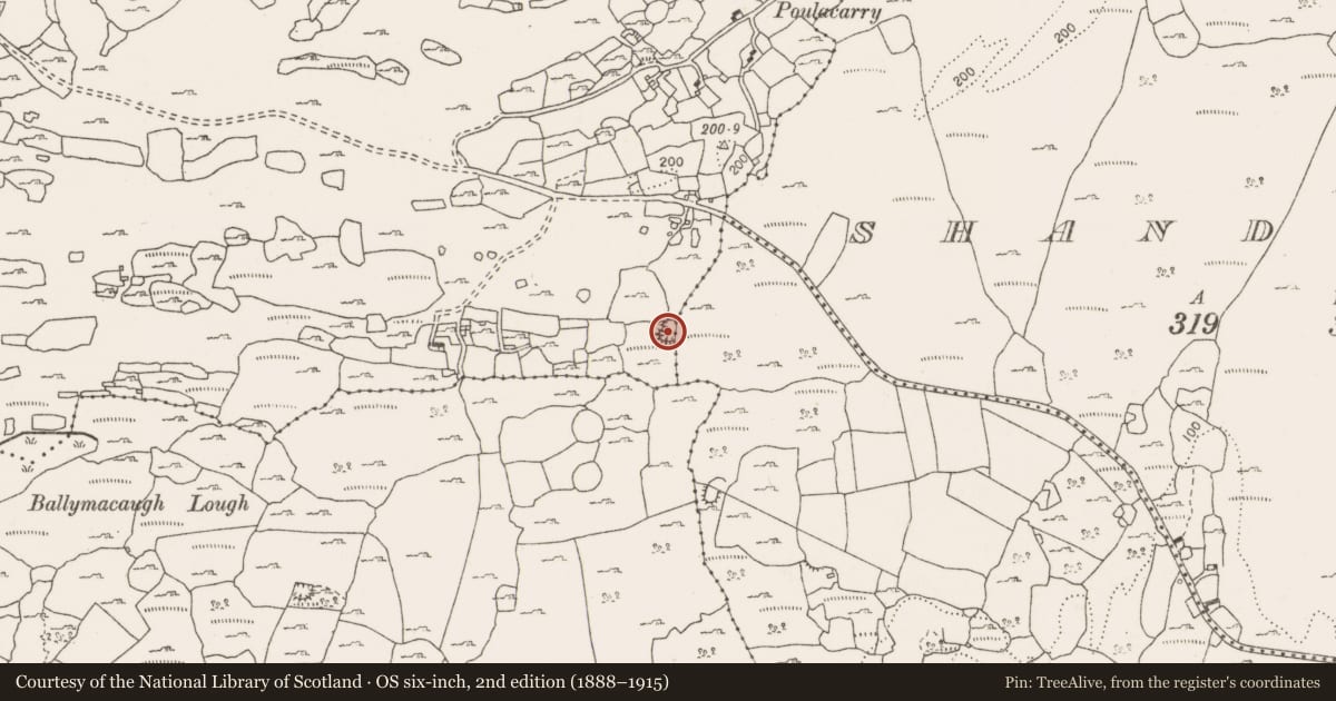 Ordnance Survey six-inch map, 2nd edition (1888–1915) covering the location of Ringfort - cashel, Commons South, Ballyportry North, County Clare, with a pin at the register's coordinates
