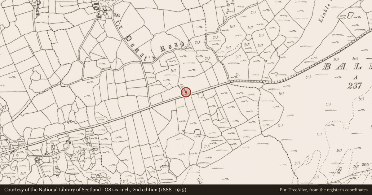 Ordnance Survey six-inch map, 2nd edition (1888–1915) covering the location of Enclosure, Rinnamona, County Clare, with a pin at the register's coordinates