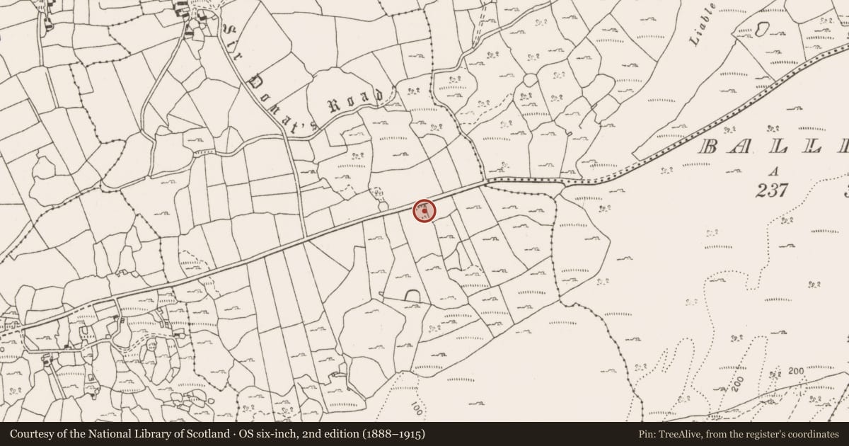 Ordnance Survey six-inch map, 2nd edition (1888–1915) covering the location of Enclosure, Rinnamona, County Clare, with a pin at the register's coordinates