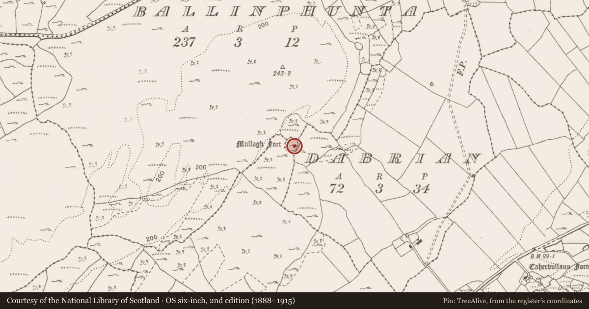 Ordnance Survey six-inch map, 2nd edition (1888–1915) covering the location of Ringfort - cashel, County Clare, with a pin at the register's coordinates