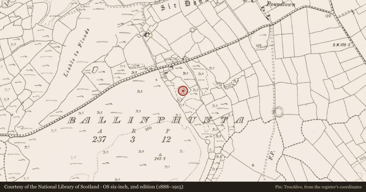 Ordnance Survey six-inch map, 2nd edition (1888–1915) covering the location of Enclosure, Ballinphunta, County Clare, with a pin at the register's coordinates