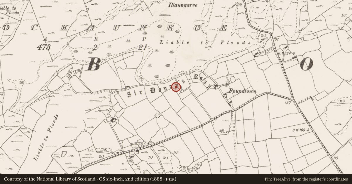 Ordnance Survey six-inch map, 2nd edition (1888–1915) covering the location of Ringfort - cashel, Knockaunroe, County Clare, with a pin at the register's coordinates