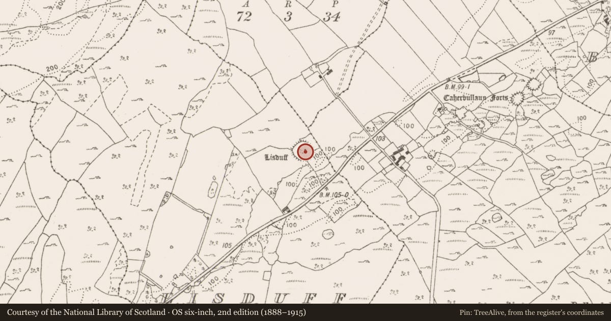 Ordnance Survey six-inch map, 2nd edition (1888–1915) covering the location of Ringfort - cashel, Lisduff, County Clare, with a pin at the register's coordinates