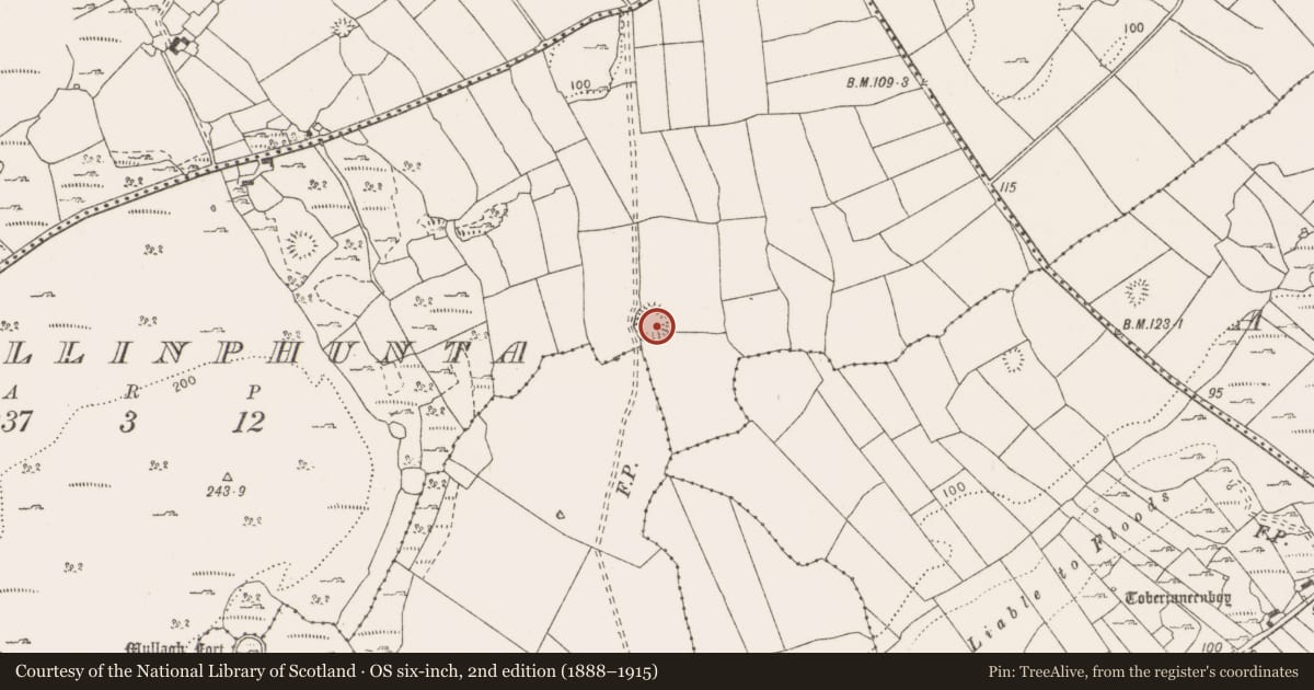 Ordnance Survey six-inch map, 2nd edition (1888–1915) covering the location of Ringfort - rath, Ballinphunta, County Clare, with a pin at the register's coordinates
