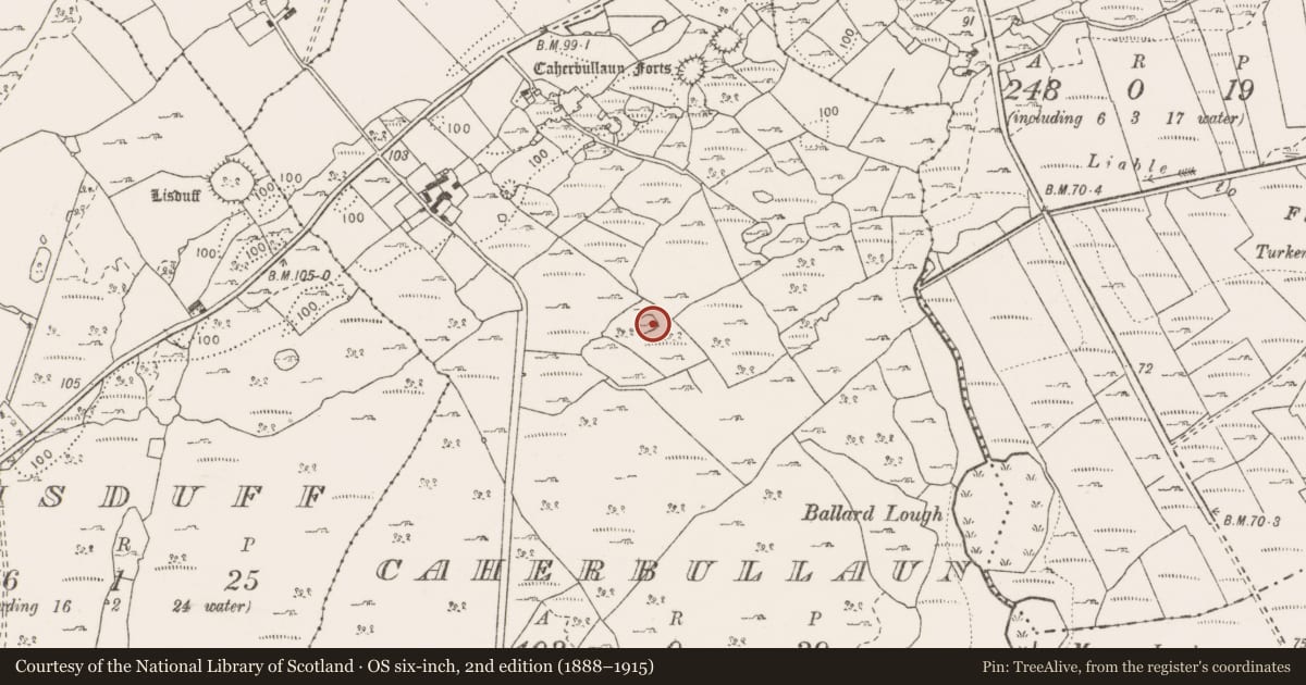 Ordnance Survey six-inch map, 2nd edition (1888–1915) covering the location of Ringfort - cashel, Caherbullaun, County Clare, with a pin at the register's coordinates