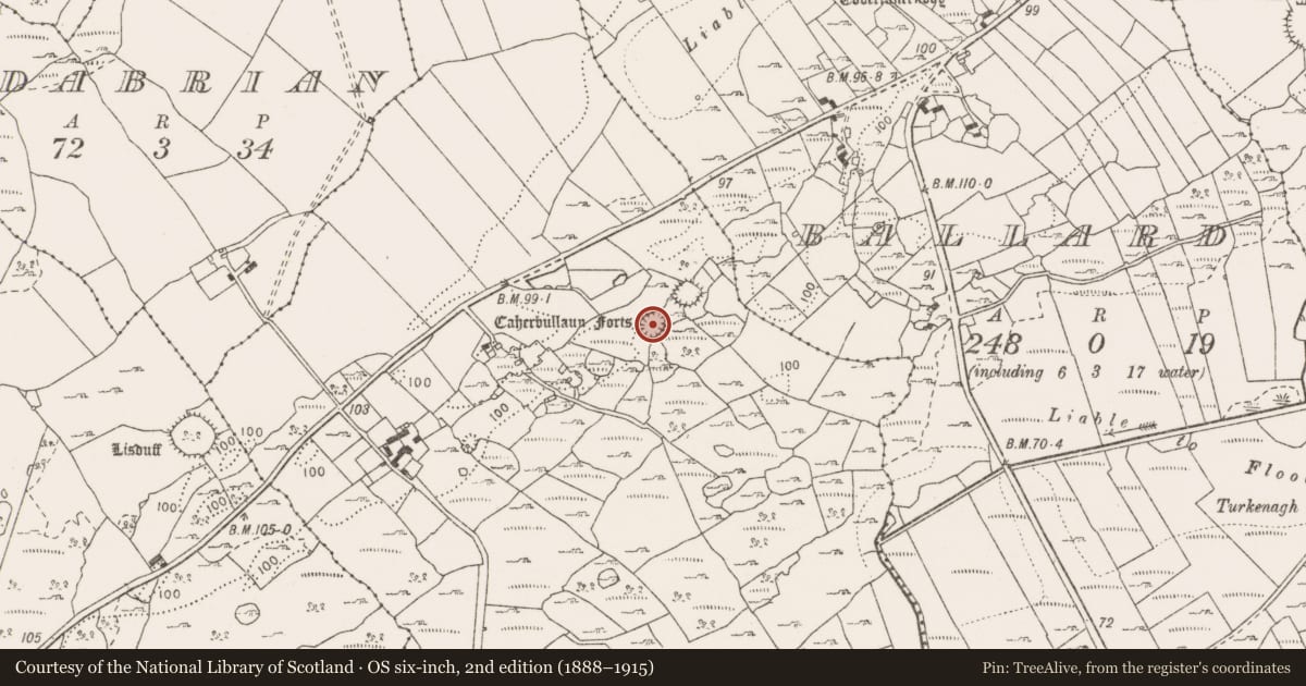 Ordnance Survey six-inch map, 2nd edition (1888–1915) covering the location of Ringfort - cashel, Caherbullaun, County Clare, with a pin at the register's coordinates