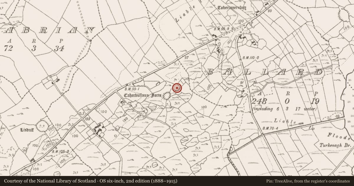 Ordnance Survey six-inch map, 2nd edition (1888–1915) covering the location of Ringfort - cashel, Caherbullaun, County Clare, with a pin at the register's coordinates