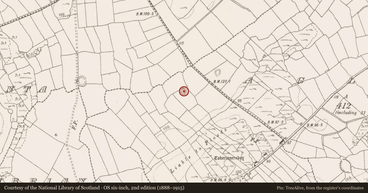 Ordnance Survey six-inch map, 2nd edition (1888–1915) covering the location of Enclosure, Ballard, County Clare, with a pin at the register's coordinates