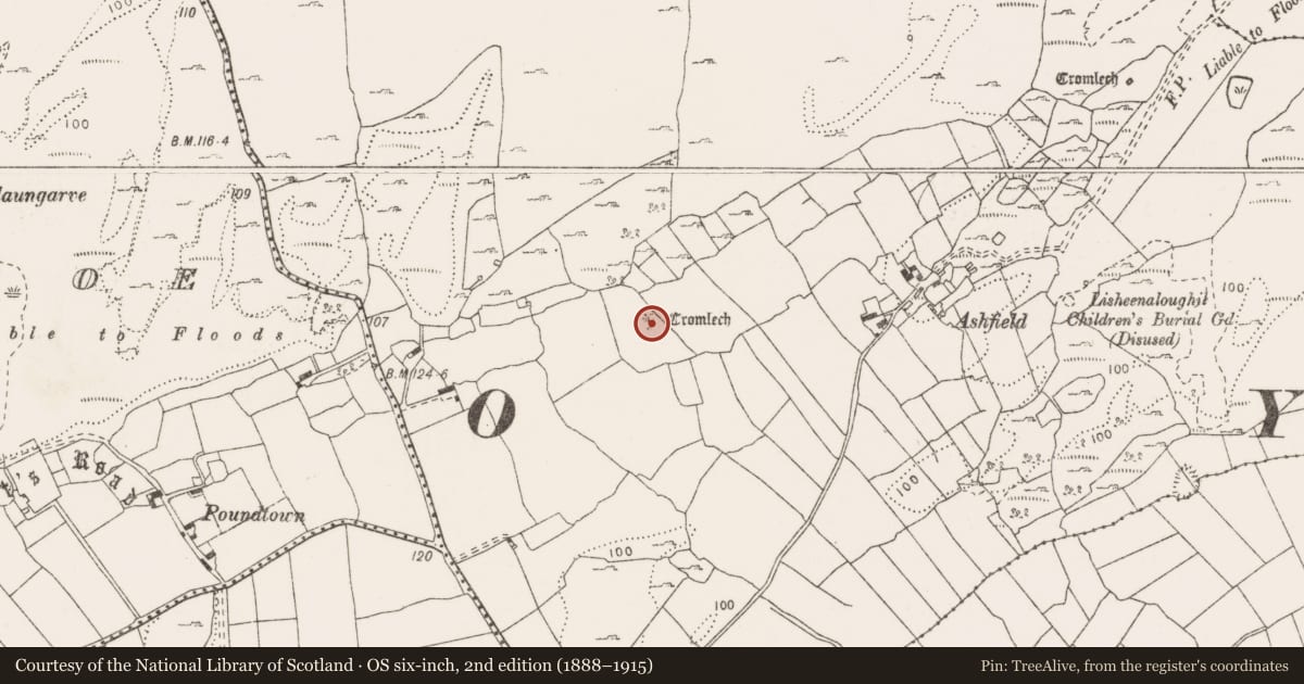 Ordnance Survey six-inch map, 2nd edition (1888–1915) covering the location of Megalithic tomb - wedge tomb, Gortlecka, County Clare, with a pin at the register's coordinates
