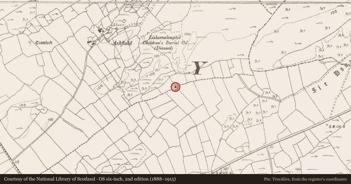 Ordnance Survey six-inch map, 2nd edition (1888–1915) covering the location of Ringfort - cashel, Aglish, Gortlecka, County Clare, with a pin at the register's coordinates