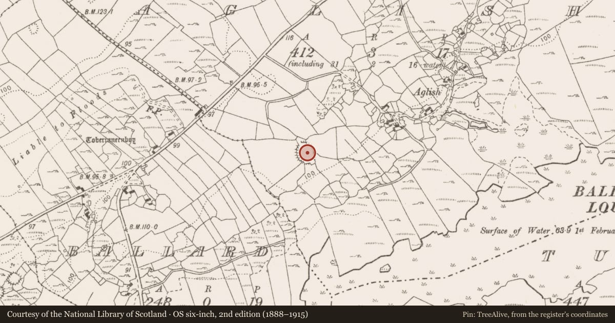 Ordnance Survey six-inch map, 2nd edition (1888–1915) covering the location of Ringfort - cashel, Aglish, County Clare, with a pin at the register's coordinates