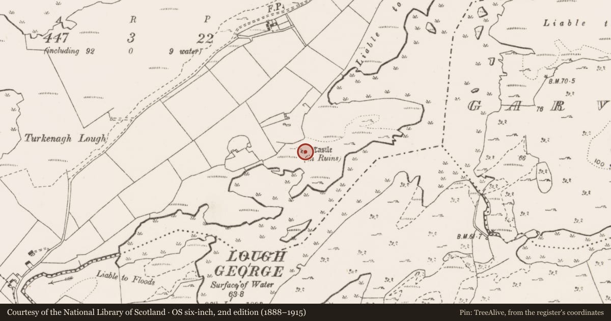 Ordnance Survey six-inch map, 2nd edition (1888–1915) covering the location of House - 16th/17th century, Turkenagh, County Clare, with a pin at the register's coordinates