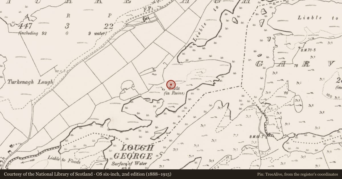 Ordnance Survey six-inch map, 2nd edition (1888–1915) covering the location of House - 16th/17th century, Turkenagh, County Clare, with a pin at the register's coordinates