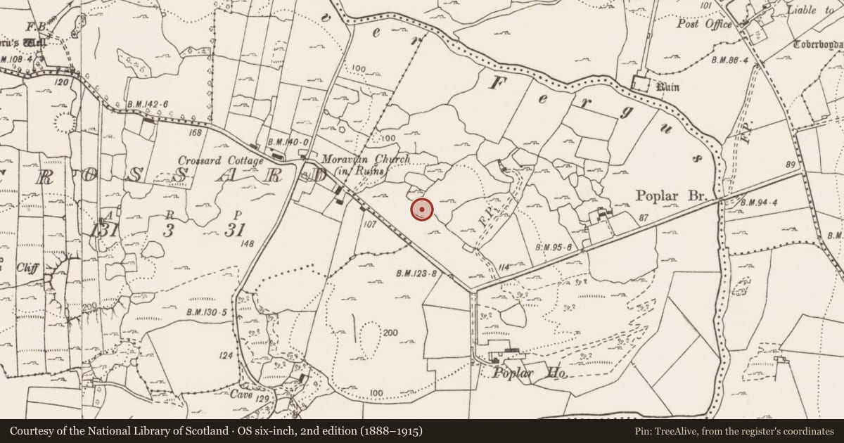Ordnance Survey six-inch map, 2nd edition (1888–1915) covering the location of Ringfort - cashel, Nooan, County Clare, with a pin at the register's coordinates
