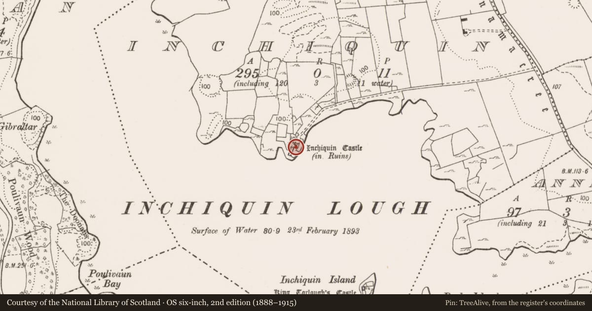 Ordnance Survey six-inch map, 2nd edition (1888–1915) covering the location of Castle - tower house, Inchiquin, County Clare, with a pin at the register's coordinates