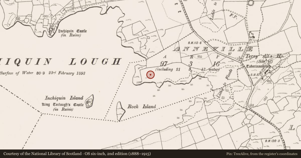 Ordnance Survey six-inch map, 2nd edition (1888–1915) covering the location of Promontory fort - inland, Anneville, County Clare, with a pin at the register's coordinates