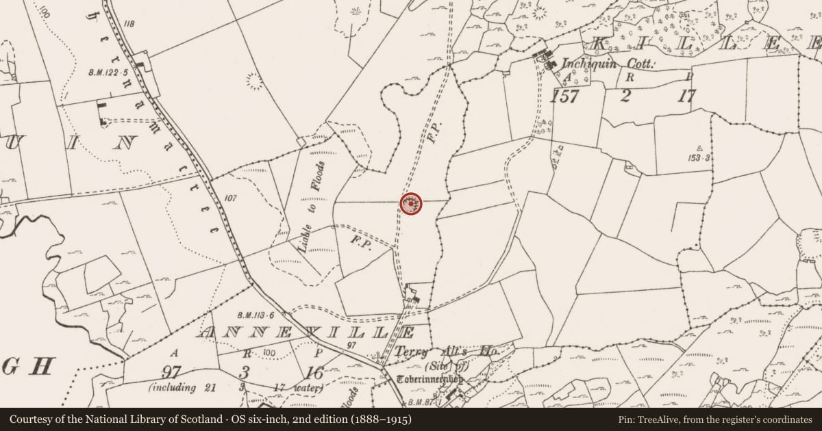Ordnance Survey six-inch map, 2nd edition (1888–1915) covering the location of Ringfort - rath, Anneville, County Clare, with a pin at the register's coordinates