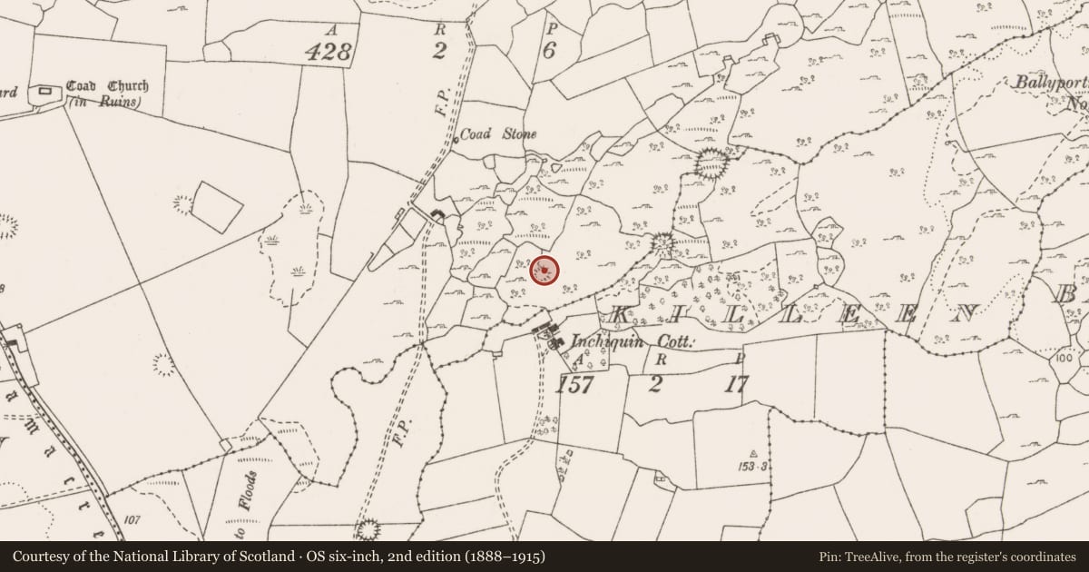 Ordnance Survey six-inch map, 2nd edition (1888–1915) covering the location of Ringfort - cashel, Coad, County Clare, with a pin at the register's coordinates