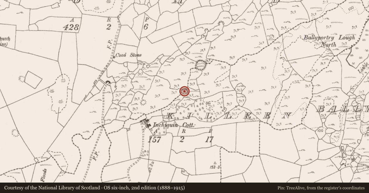 Ordnance Survey six-inch map, 2nd edition (1888–1915) covering the location of Ringfort - cashel, Coad, Killeen, County Clare, with a pin at the register's coordinates