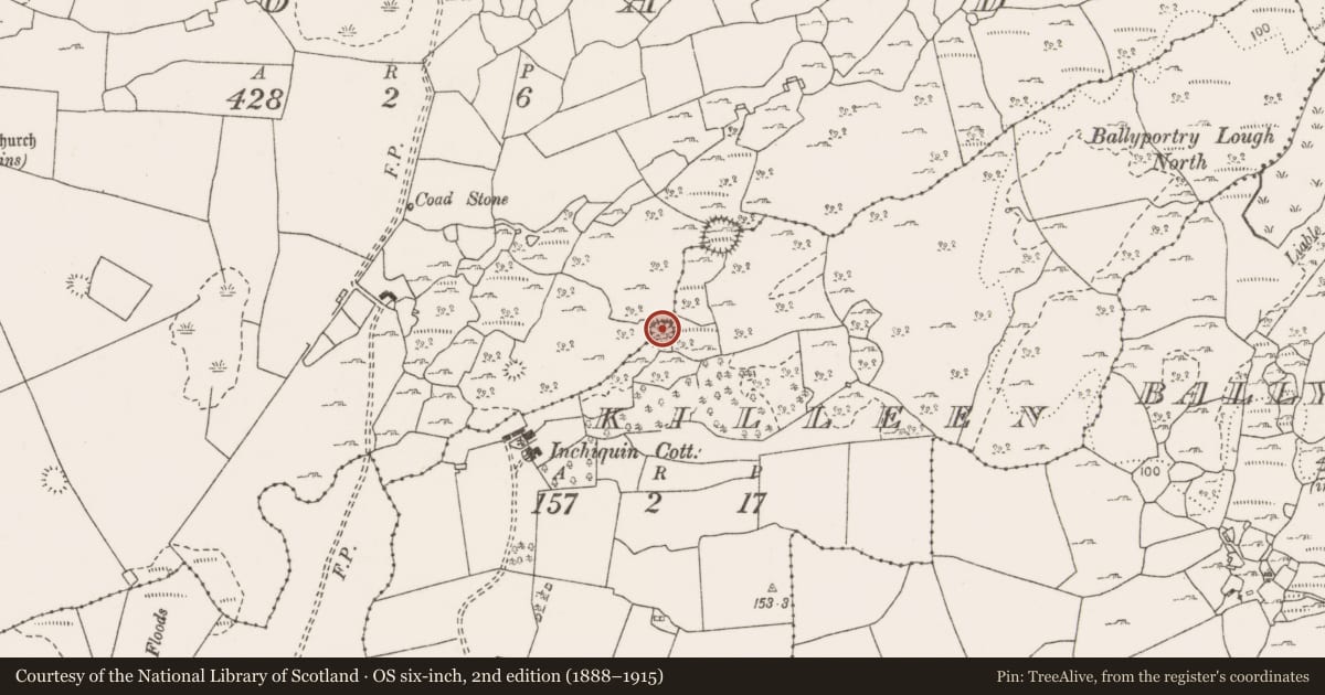 Ordnance Survey six-inch map, 2nd edition (1888–1915) covering the location of Hut site, Killeen, County Clare, with a pin at the register's coordinates