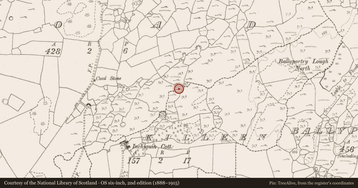 Ordnance Survey six-inch map, 2nd edition (1888–1915) covering the location of Ringfort - cashel, Coad, Killeen, County Clare, with a pin at the register's coordinates