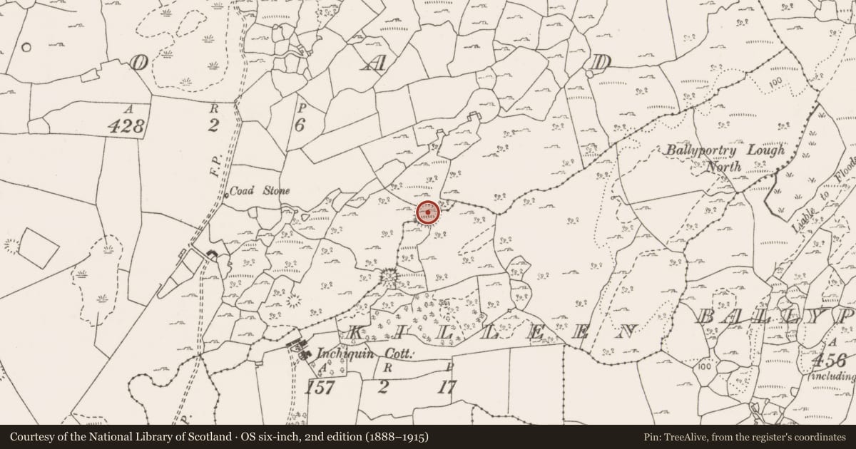 Ordnance Survey six-inch map, 2nd edition (1888–1915) covering the location of House - indeterminate date, Killeen, County Clare, with a pin at the register's coordinates