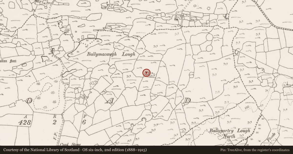Ordnance Survey six-inch map, 2nd edition (1888–1915) covering the location of Enclosure, Coad, County Clare, with a pin at the register's coordinates
