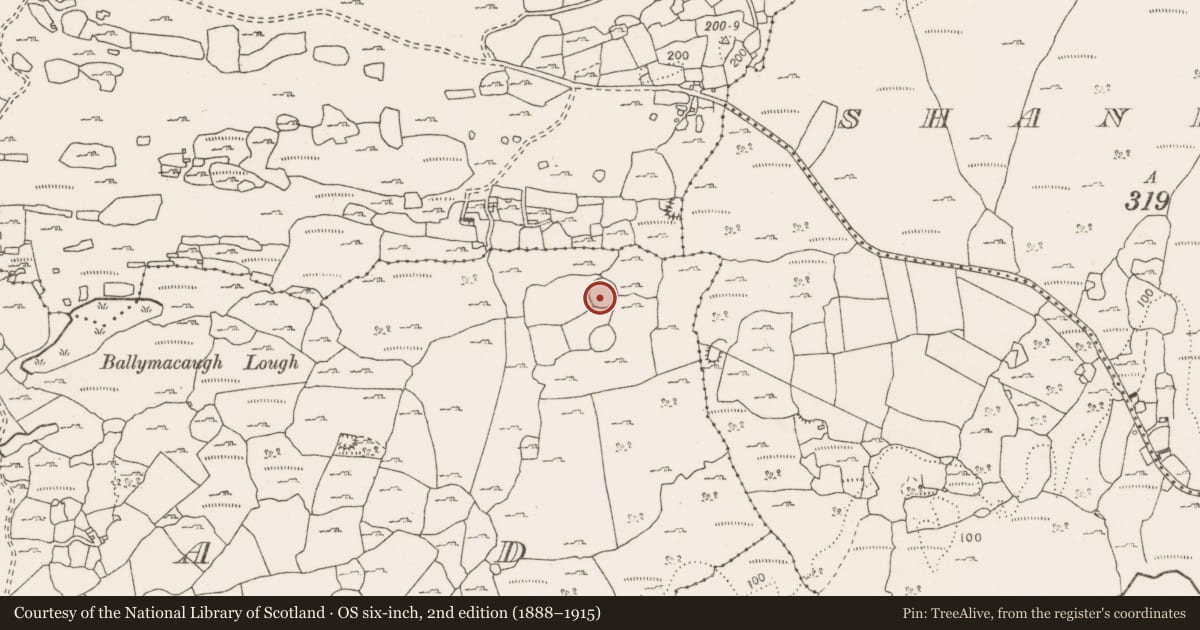 Ordnance Survey six-inch map, 2nd edition (1888–1915) covering the location of Enclosure, Coad, County Clare, with a pin at the register's coordinates