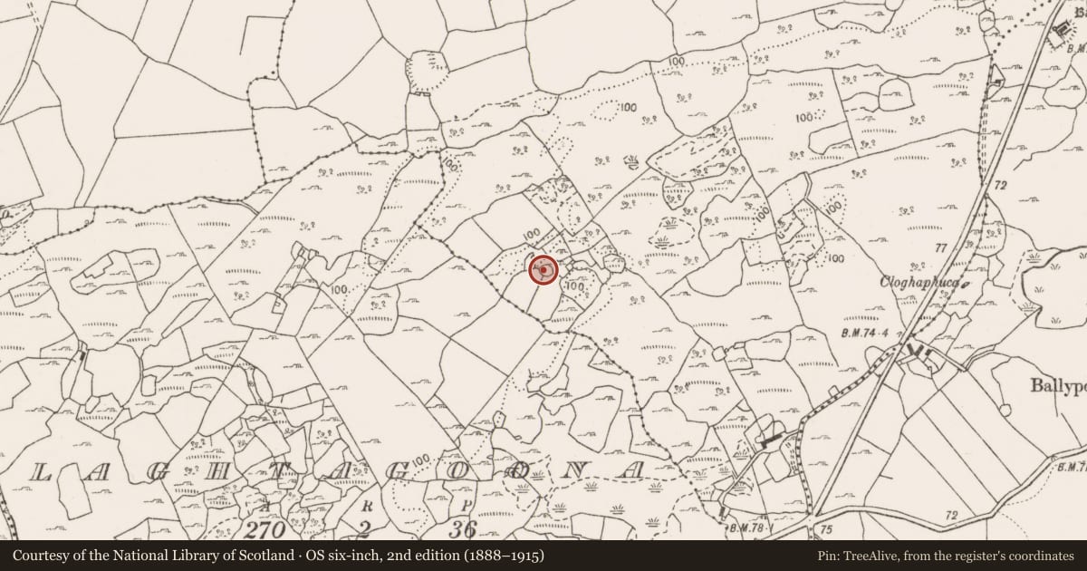 Ordnance Survey six-inch map, 2nd edition (1888–1915) covering the location of Enclosure, Ballyportry North, County Clare, with a pin at the register's coordinates