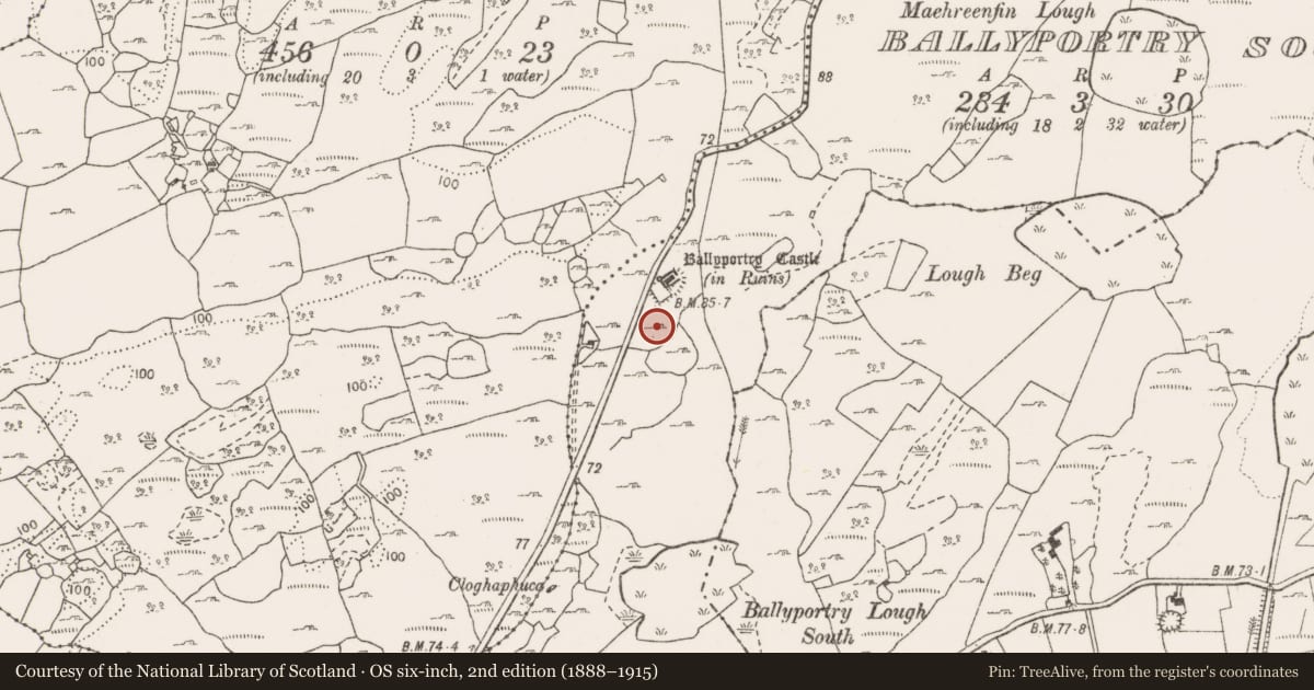 Ordnance Survey six-inch map, 2nd edition (1888–1915) covering the location of Sheela-na-gig, Ballyportry South, County Clare, with a pin at the register's coordinates