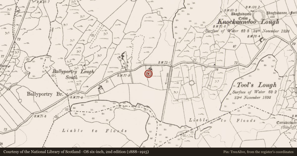 Ordnance Survey six-inch map, 2nd edition (1888–1915) covering the location of Ringfort - cashel, Kells, County Clare, with a pin at the register's coordinates