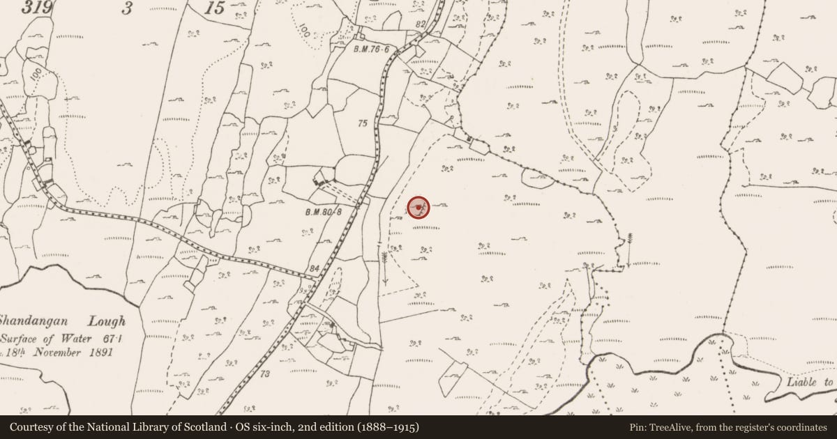 Ordnance Survey six-inch map, 2nd edition (1888–1915) covering the location of Ringfort - cashel, Ballyportry South, County Clare, with a pin at the register's coordinates
