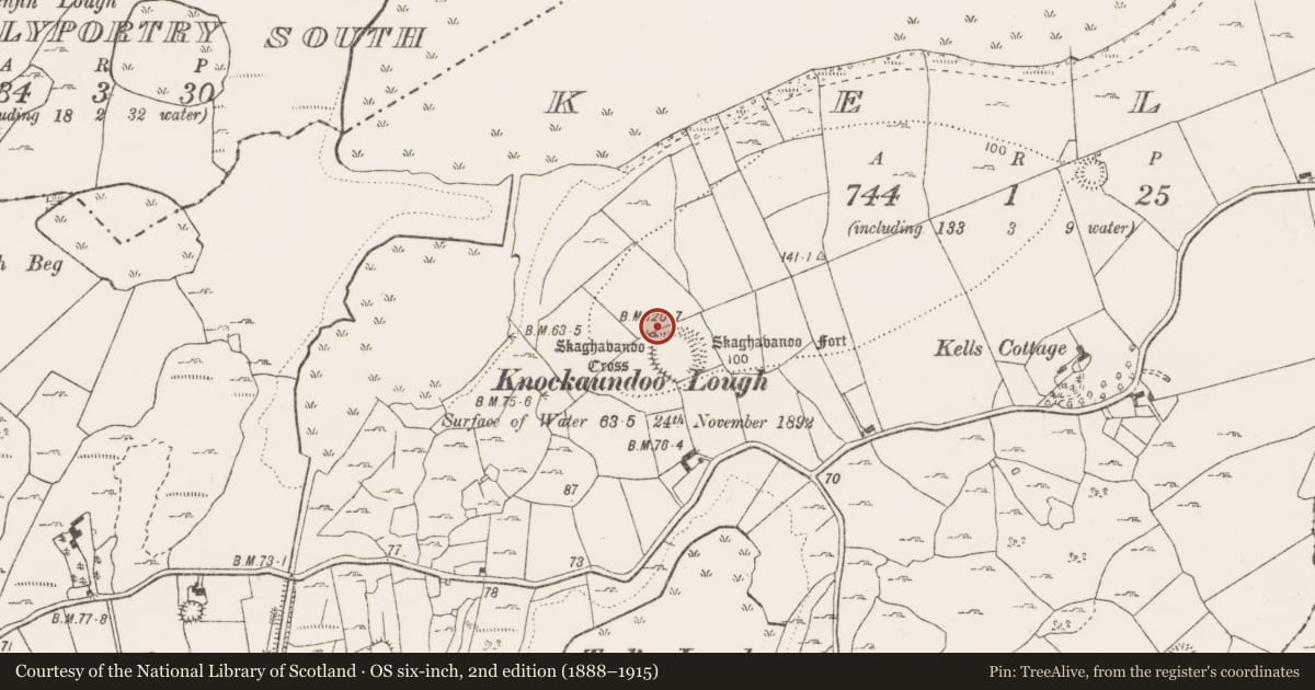 Ordnance Survey six-inch map, 2nd edition (1888–1915) covering the location of Ritual site - holy tree/bush, Kells, County Clare, with a pin at the register's coordinates