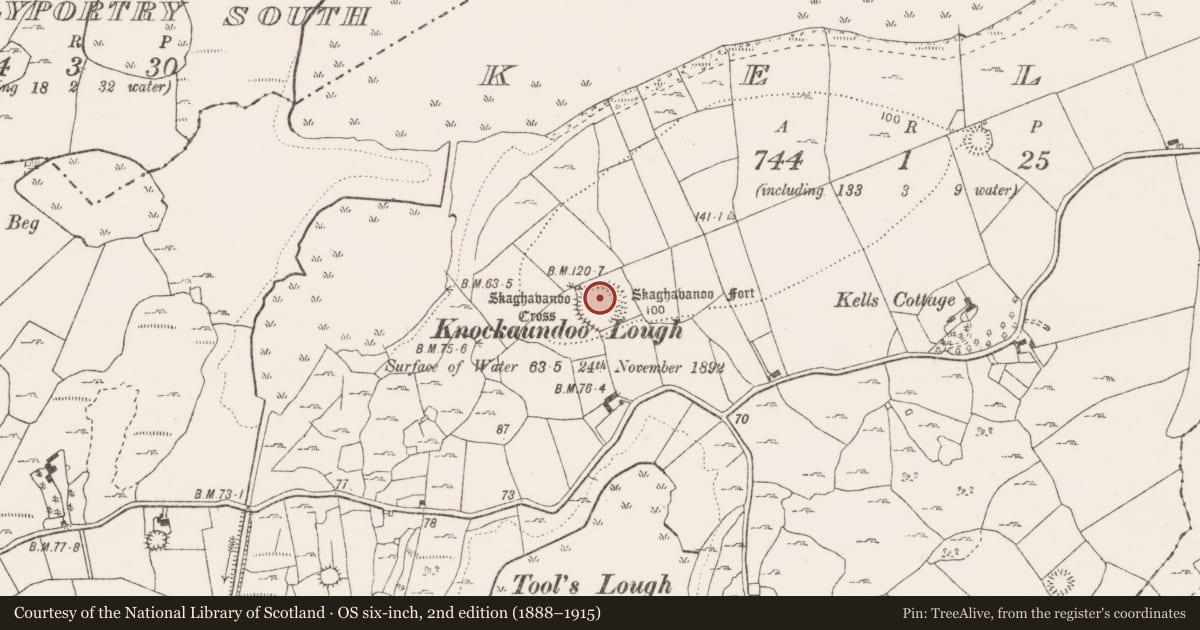 Ordnance Survey six-inch map, 2nd edition (1888–1915) covering the location of Ringfort - rath, Kells, County Clare, with a pin at the register's coordinates